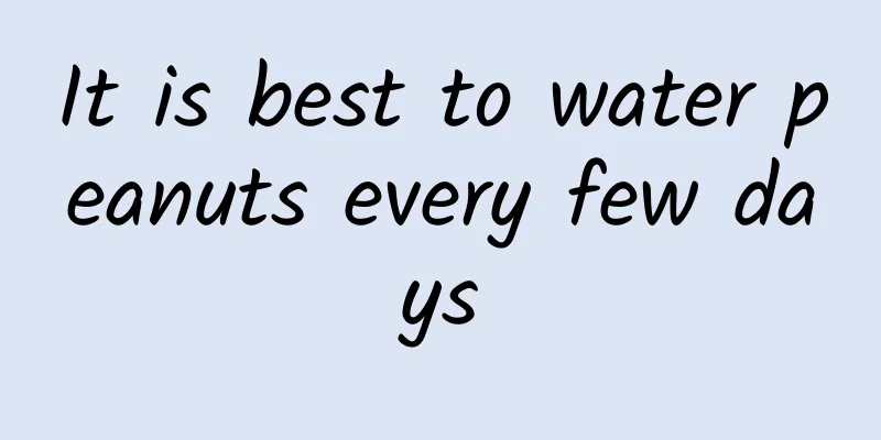 It is best to water peanuts every few days