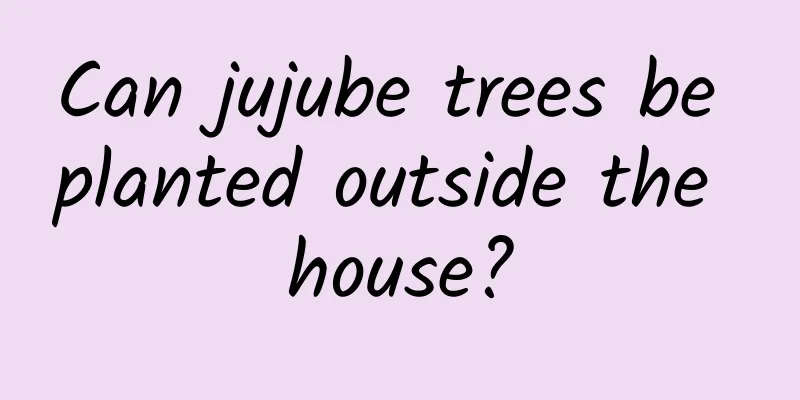 Can jujube trees be planted outside the house?