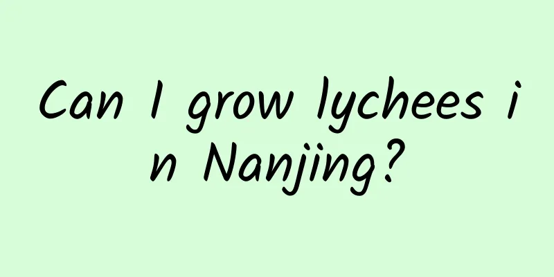 Can I grow lychees in Nanjing?