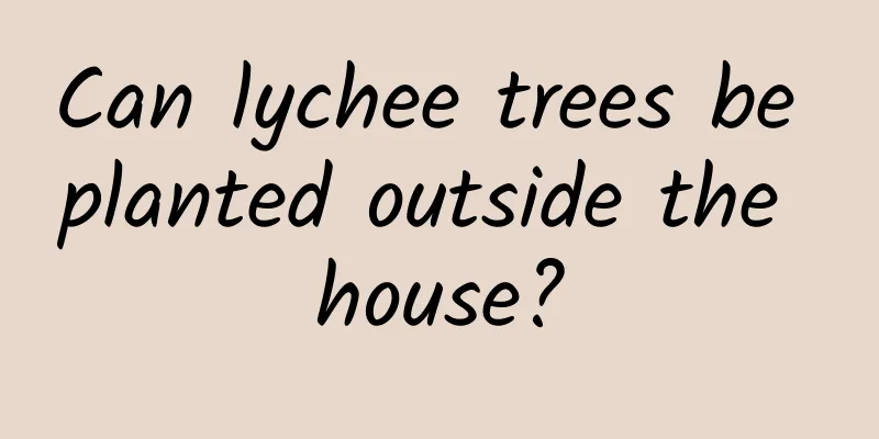Can lychee trees be planted outside the house?