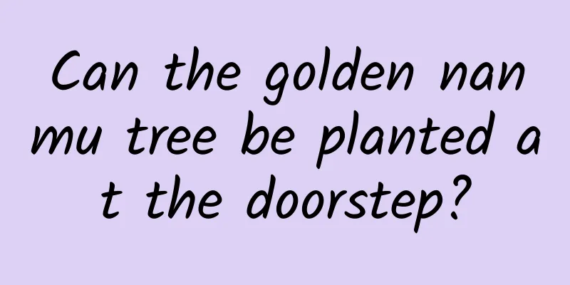 Can the golden nanmu tree be planted at the doorstep?