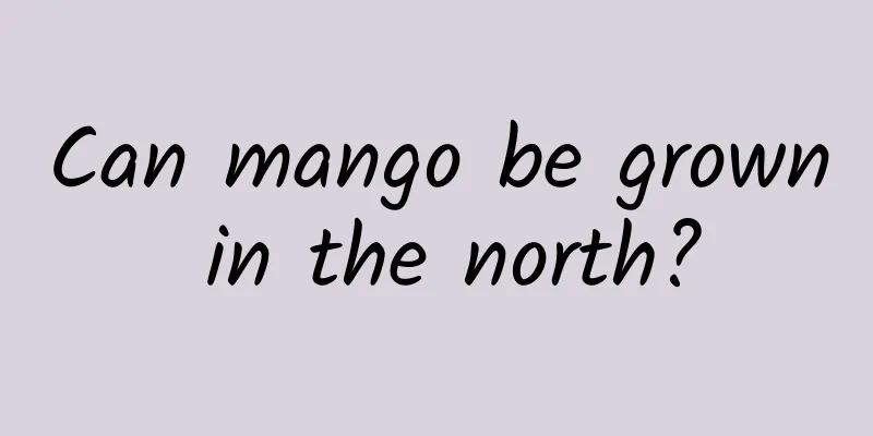 Can mango be grown in the north?