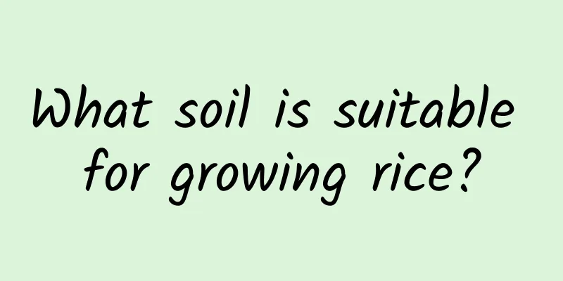 What soil is suitable for growing rice?