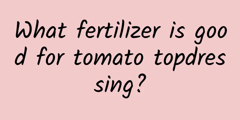What fertilizer is good for tomato topdressing?