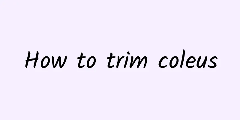How to trim coleus