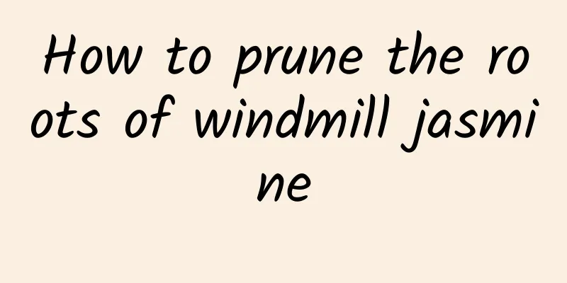 How to prune the roots of windmill jasmine