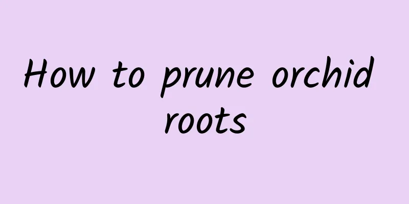 How to prune orchid roots