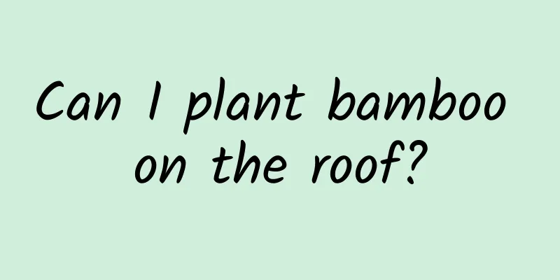 Can I plant bamboo on the roof?