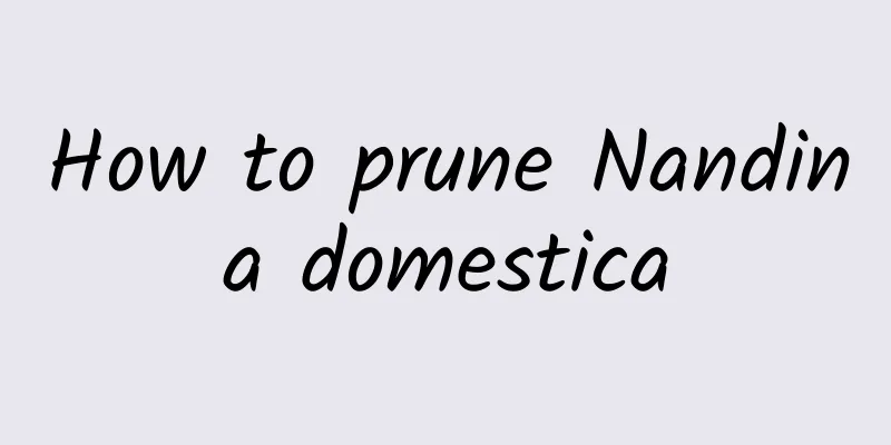 How to prune Nandina domestica