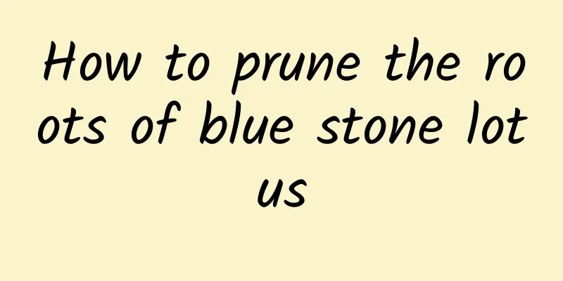 How to prune the roots of blue stone lotus