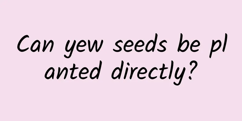 Can yew seeds be planted directly?