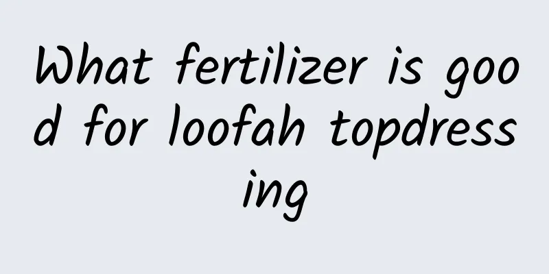What fertilizer is good for loofah topdressing
