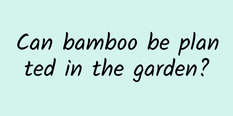 Can bamboo be planted in the garden?