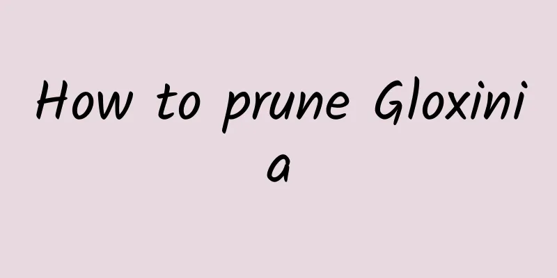 How to prune Gloxinia