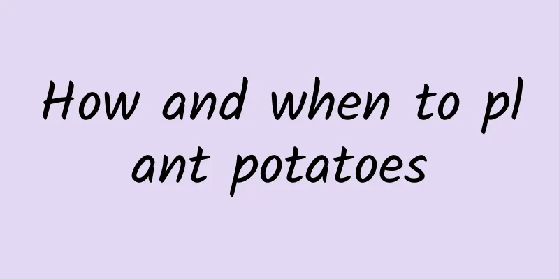 How and when to plant potatoes