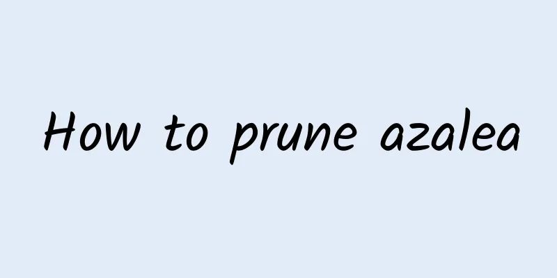 How to prune azalea