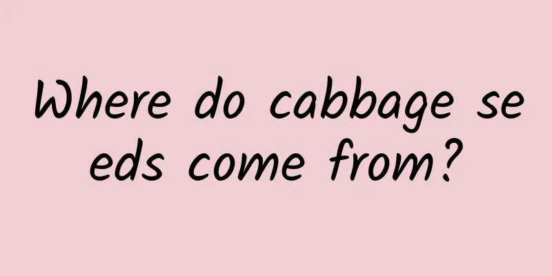 Where do cabbage seeds come from?