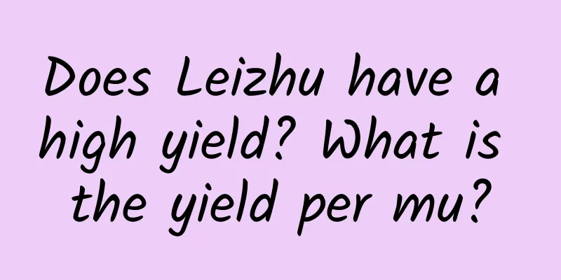 Does Leizhu have a high yield? What is the yield per mu?