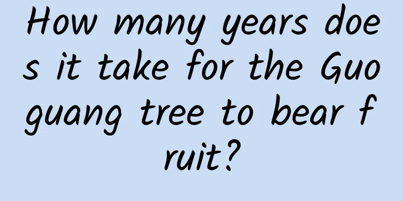 How many years does it take for the Guoguang tree to bear fruit?