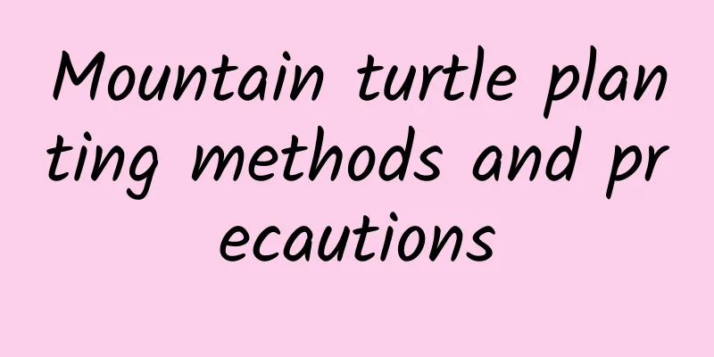 Mountain turtle planting methods and precautions