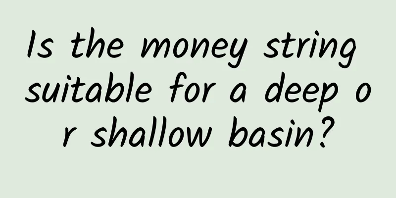 Is the money string suitable for a deep or shallow basin?