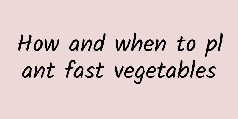 How and when to plant fast vegetables