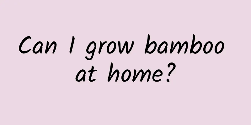 Can I grow bamboo at home?