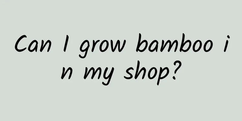 Can I grow bamboo in my shop?
