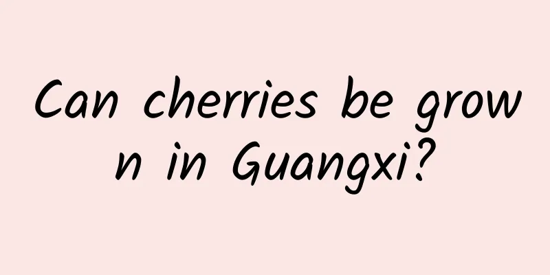 Can cherries be grown in Guangxi?