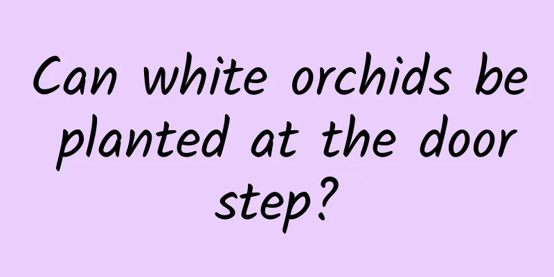 Can white orchids be planted at the doorstep?