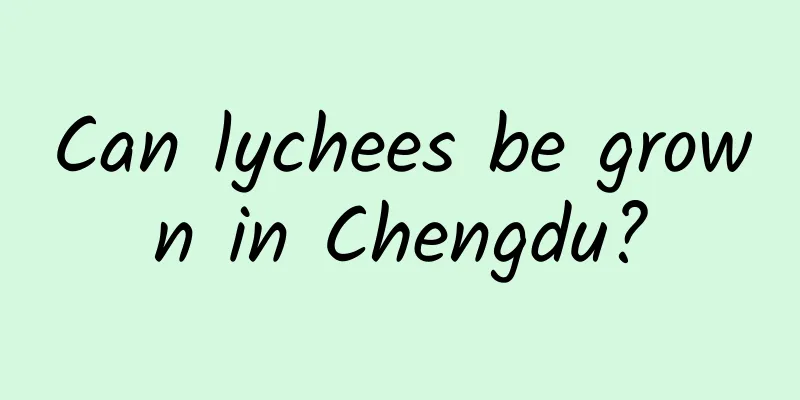 Can lychees be grown in Chengdu?
