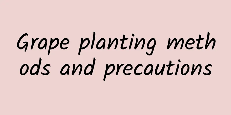 Grape planting methods and precautions
