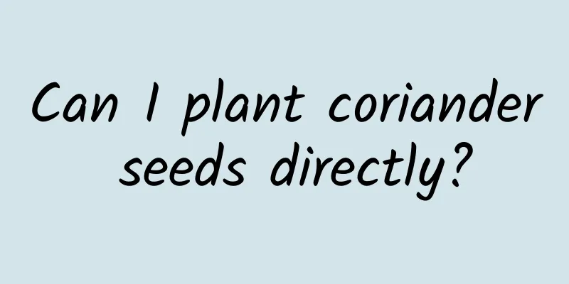 Can I plant coriander seeds directly?