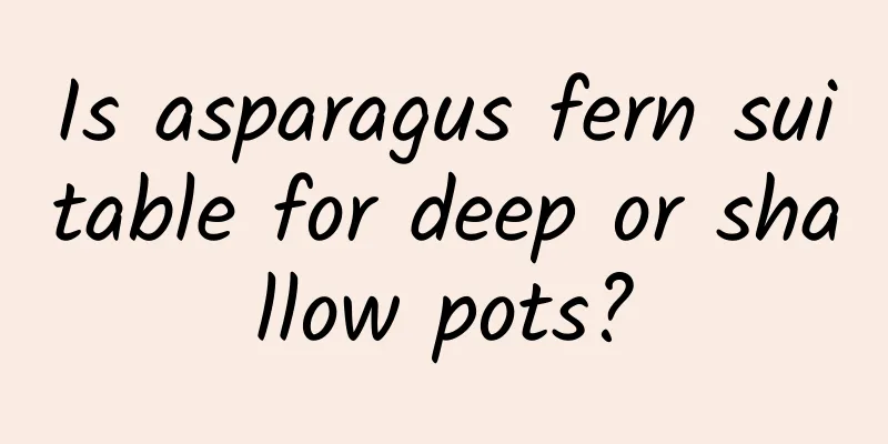 Is asparagus fern suitable for deep or shallow pots?