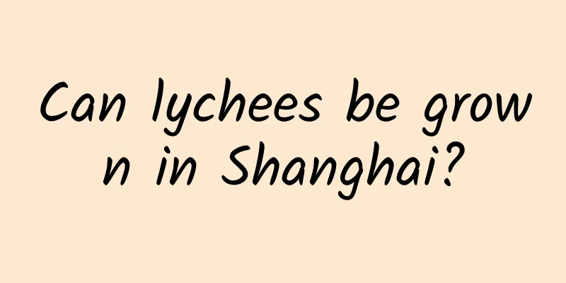 Can lychees be grown in Shanghai?