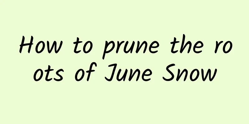 How to prune the roots of June Snow