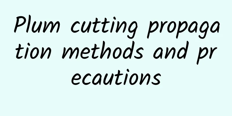 Plum cutting propagation methods and precautions