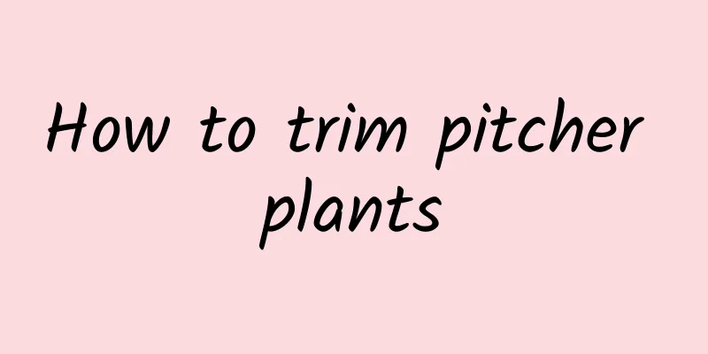 How to trim pitcher plants