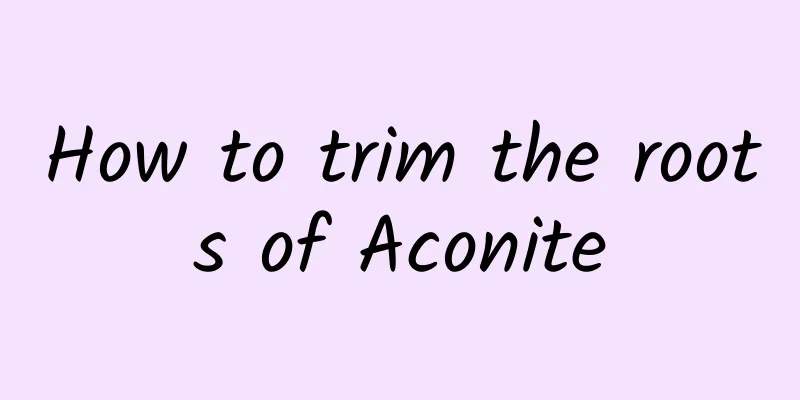 How to trim the roots of Aconite