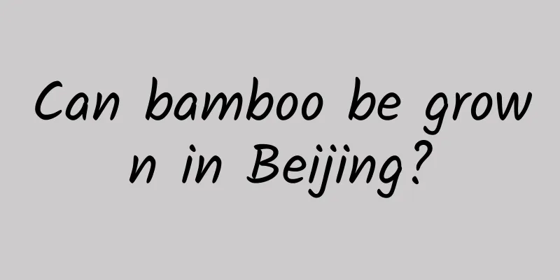 Can bamboo be grown in Beijing?