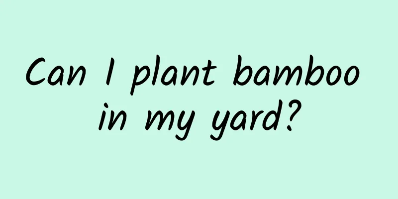 Can I plant bamboo in my yard?