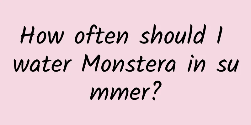 How often should I water Monstera in summer?