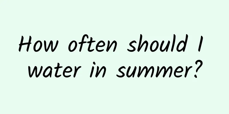 How often should I water in summer?