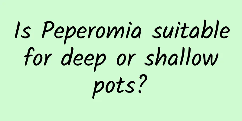 Is Peperomia suitable for deep or shallow pots?