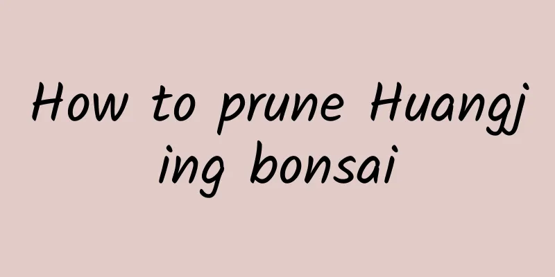 How to prune Huangjing bonsai