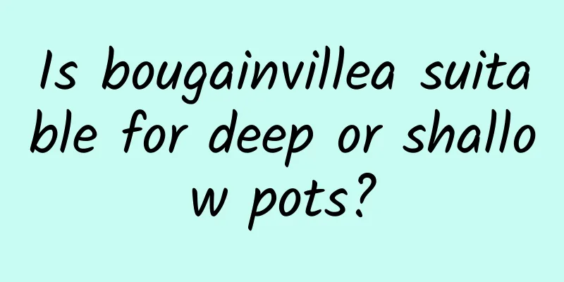 Is bougainvillea suitable for deep or shallow pots?