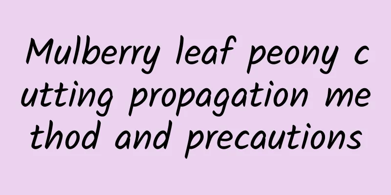 Mulberry leaf peony cutting propagation method and precautions