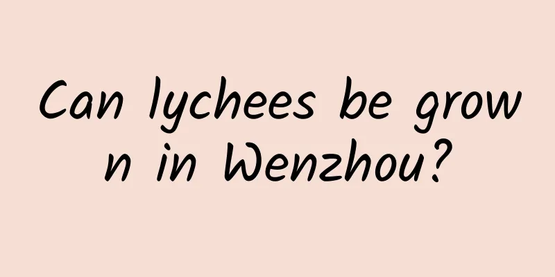 Can lychees be grown in Wenzhou?