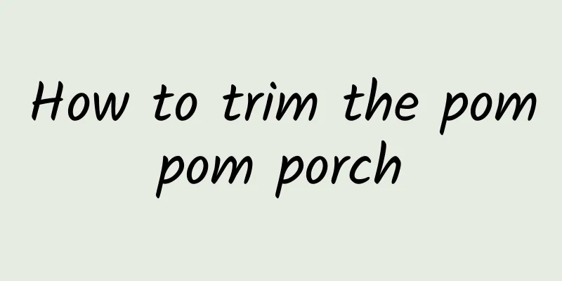 How to trim the pompom porch