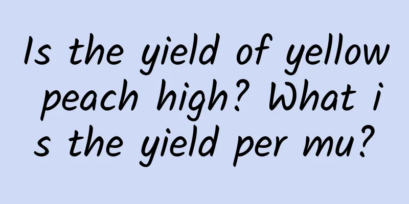 Is the yield of yellow peach high? What is the yield per mu?